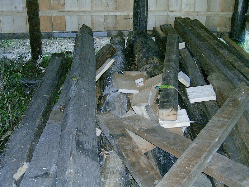 20100609 006).jpg